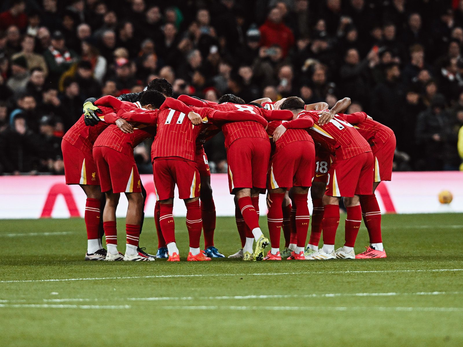 辽宁后场双星火力全开（辽宁后场双枪全面爆发）